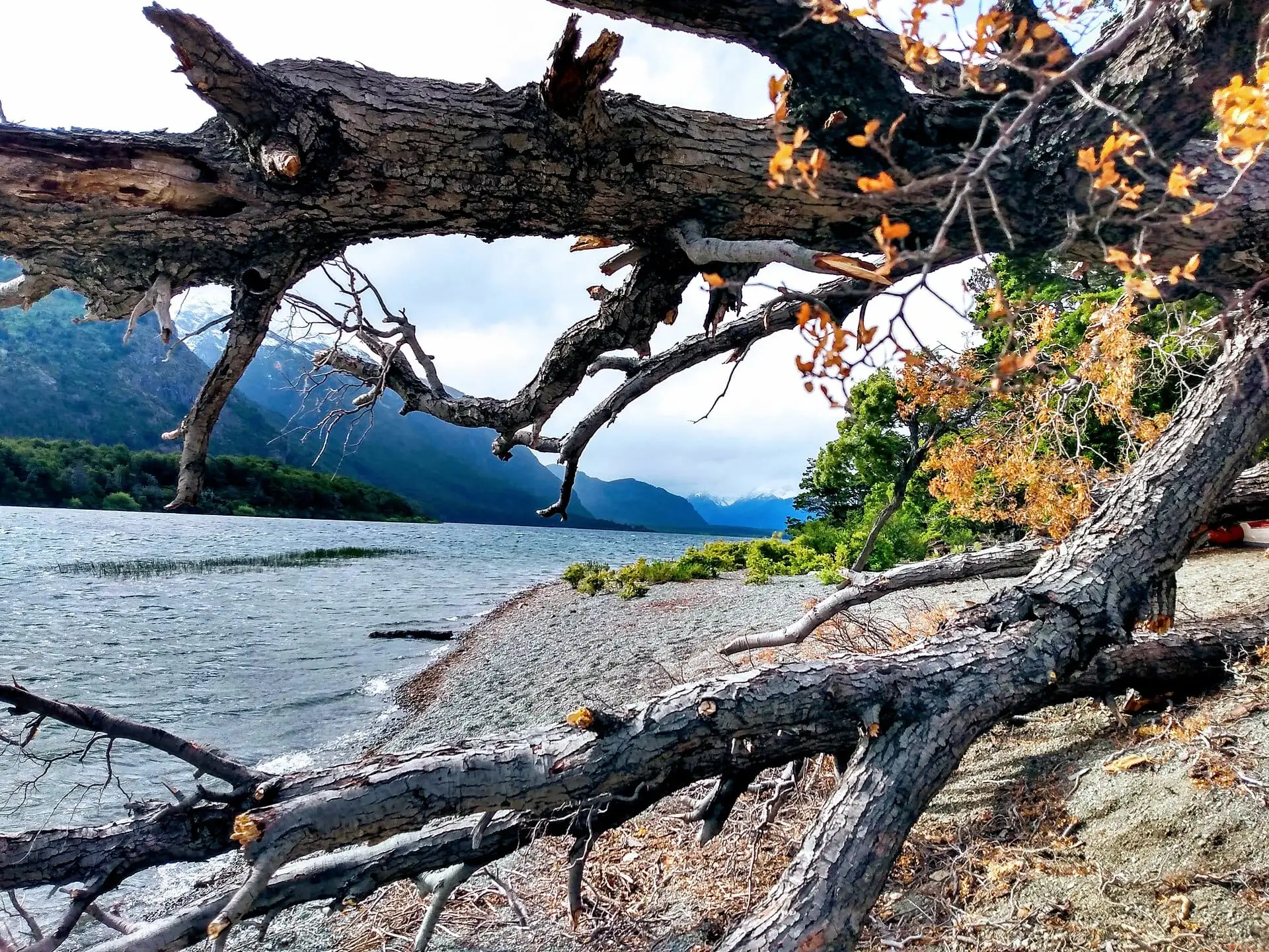Costa del lago Futalaufquen entre ramas, con montañas al fondo (foto de ejemplo)
